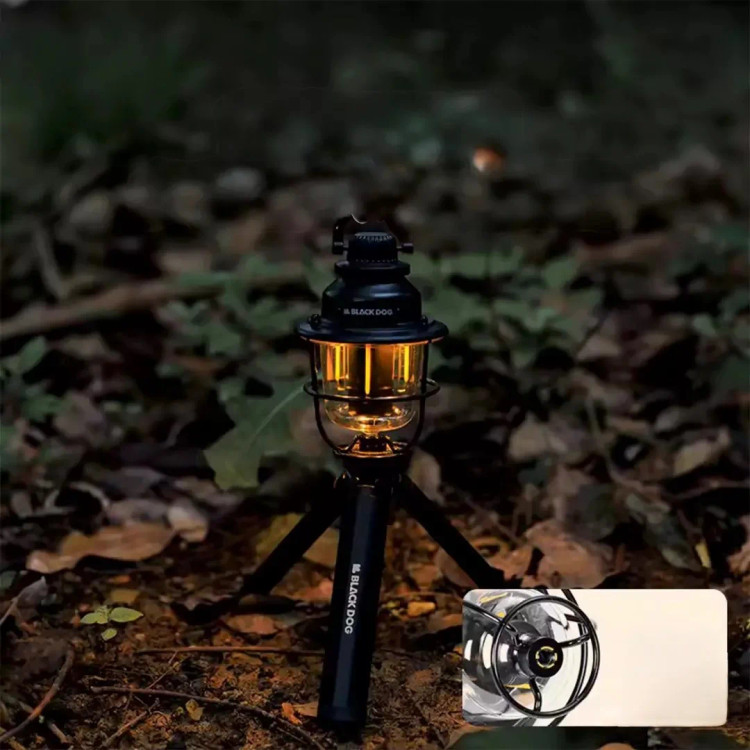 خرید آنلاین چراغ فانوسی شارژی Black Dog CBD2450ZM013 با قیمت مناسب و ارسال فوری از کوهنورد شاپ تبریز